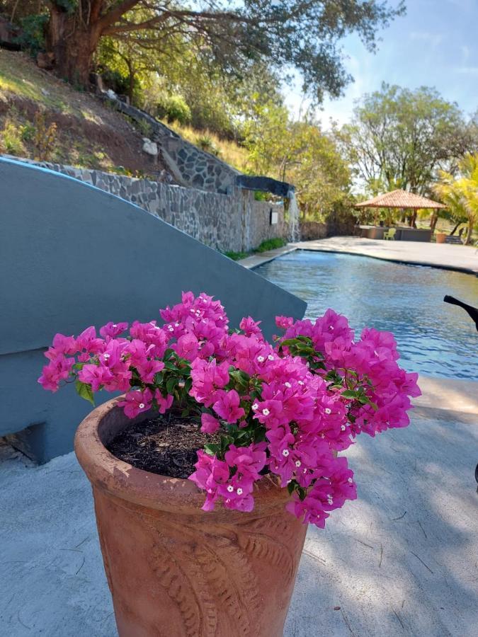 Vida Aventura Ranch Otel Tanques Dış mekan fotoğraf