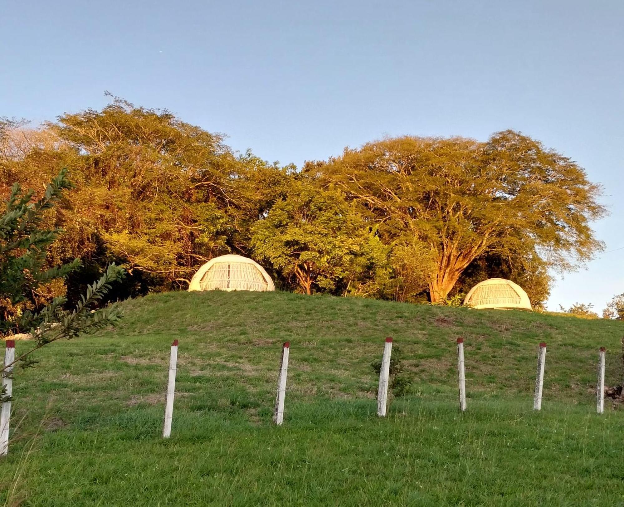 Vida Aventura Ranch Otel Tanques Dış mekan fotoğraf