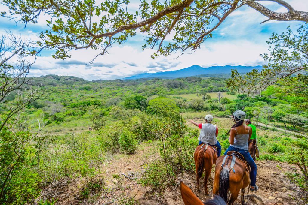 Vida Aventura Ranch Otel Tanques Dış mekan fotoğraf