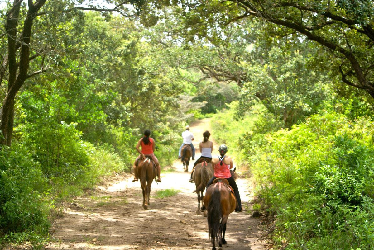 Vida Aventura Ranch Otel Tanques Dış mekan fotoğraf