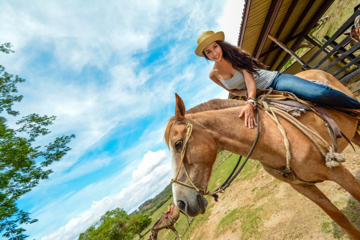 Vida Aventura Ranch Otel Tanques Dış mekan fotoğraf